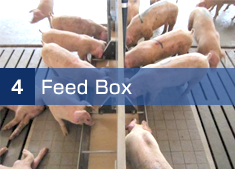 [4] Feed Box