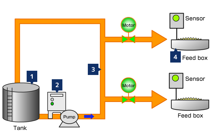 Automatic Liquid Pig Feeding System