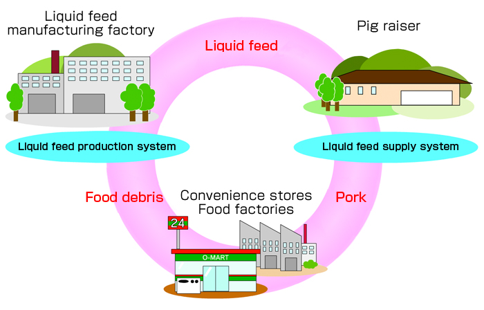 Food Debris